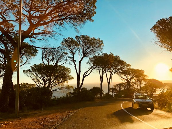 Quels sont les itinéraires les plus pittoresques pour un road trip en Afrique du Sud ?